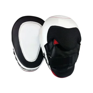 Focus Pads Mitts