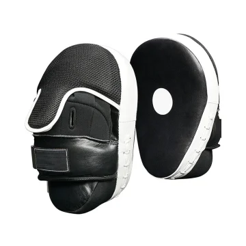 Focus Pads Mitts