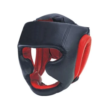 Head Guard