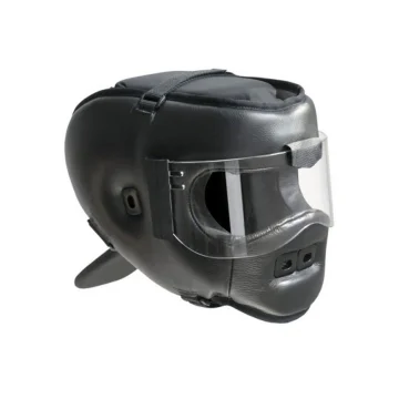 Head Guard