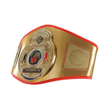 MMA Boxing Championship Belts