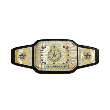 MMA Boxing Championship Belts